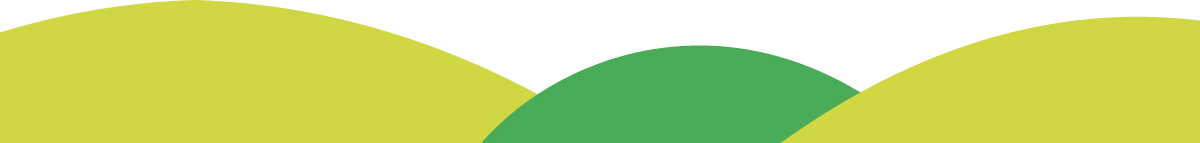 ---