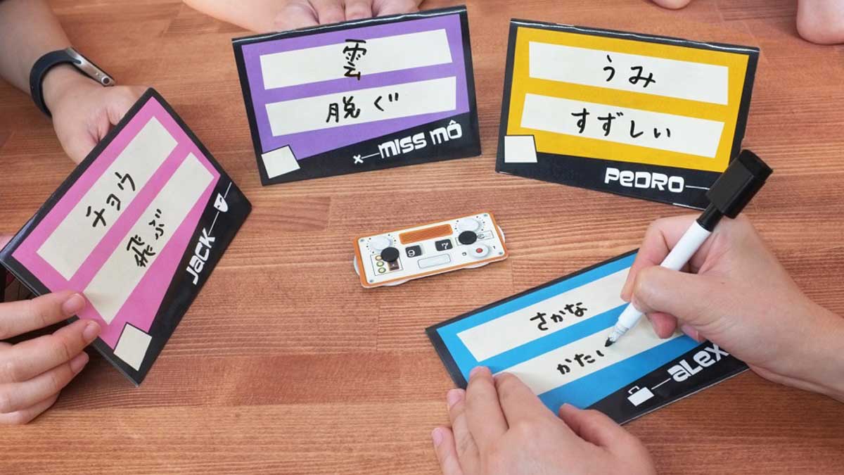 展示用写真
