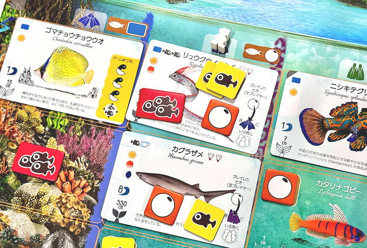 の内容
