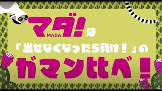 リンク先代表画像