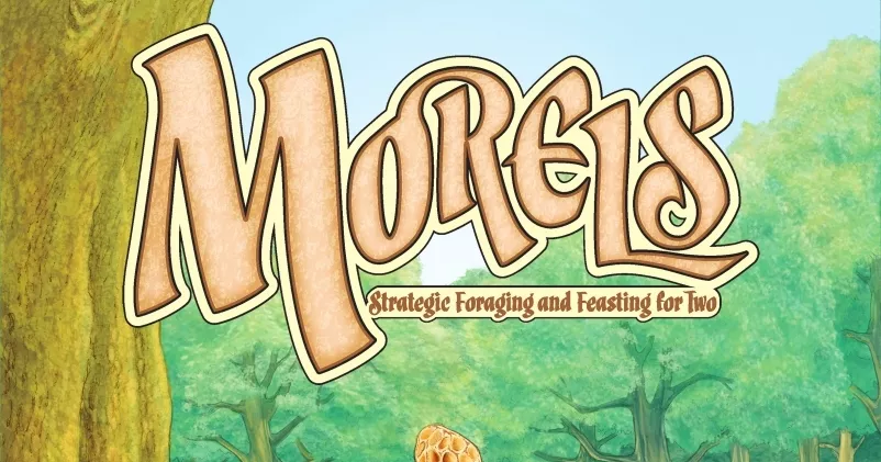 リンク先代表画像