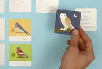 の内容