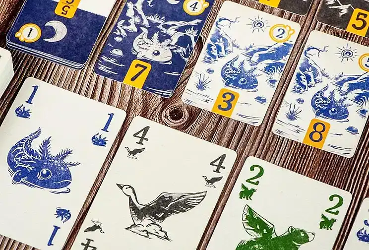 サーカディアの内容