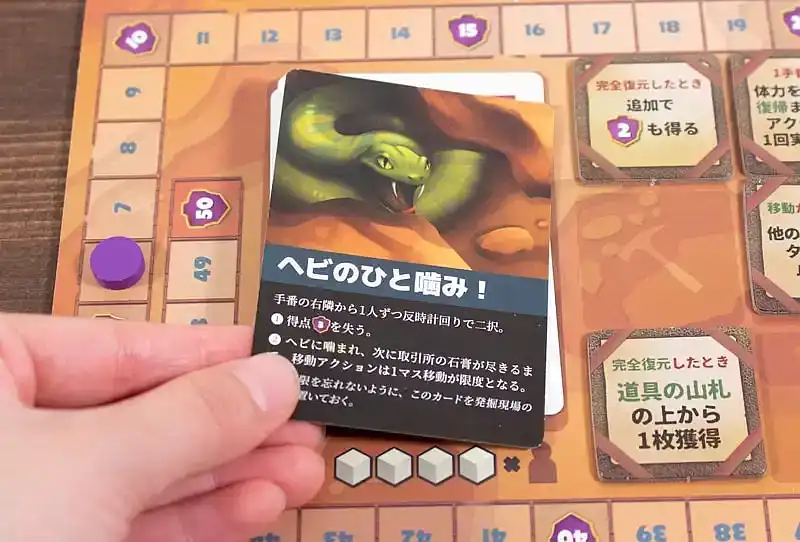 フォシリスの内容 6
