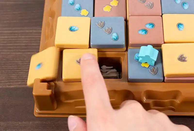 フォシリスの内容 9