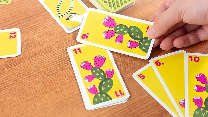 マダ!の内容 5