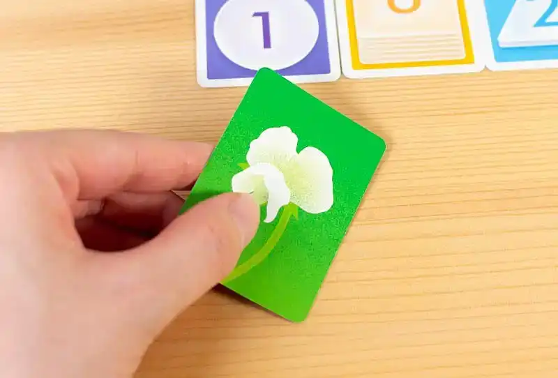 ピーズ(PEAS)の内容 6